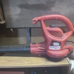 Weedwacker And Blower 