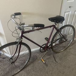 Vintage Schwinn