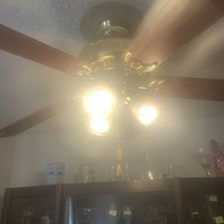 Ceiling Fan