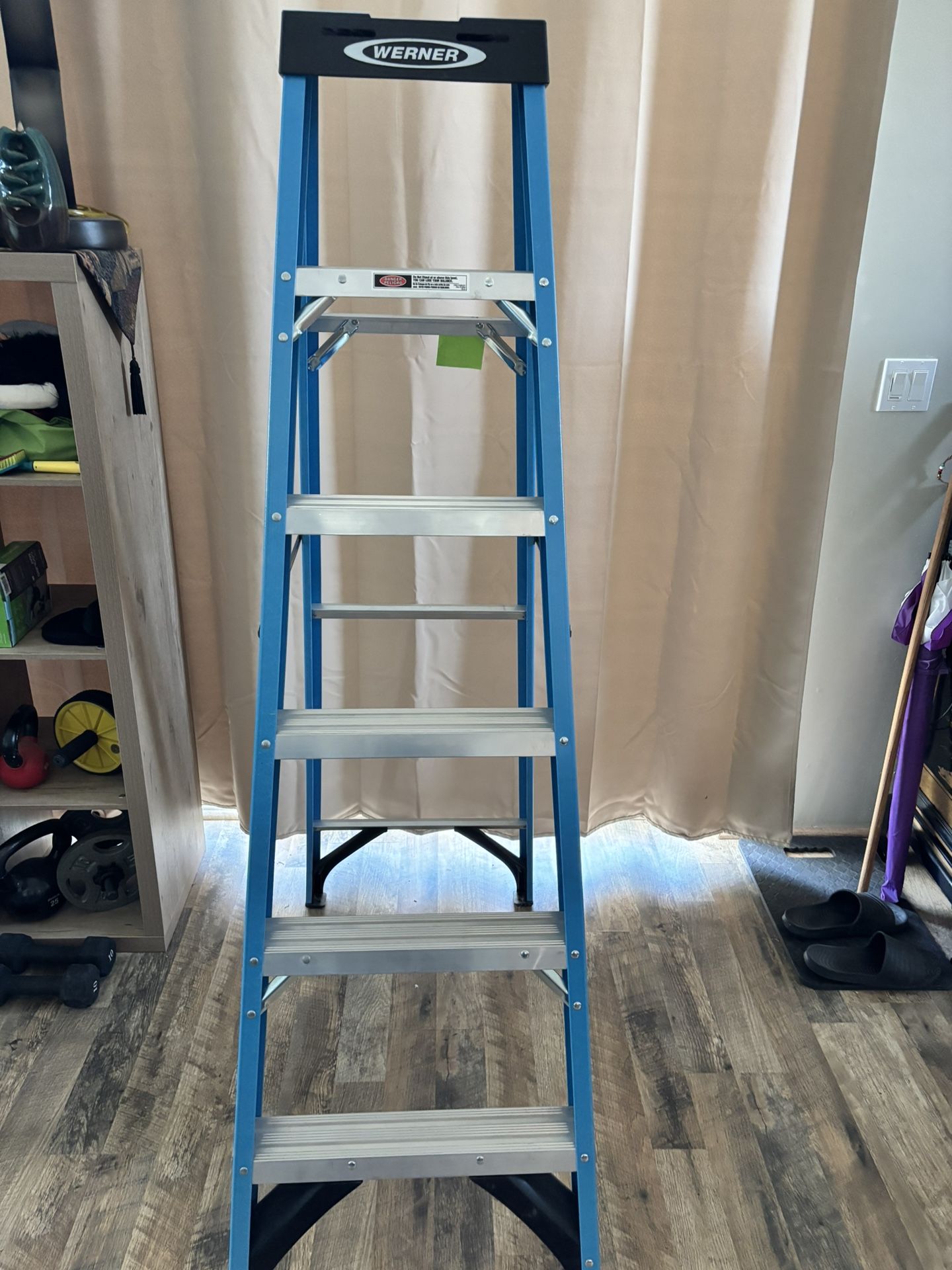 Werner 6 Foot Fiberglass Ladder