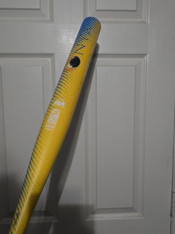 Oynx slowpitch bat