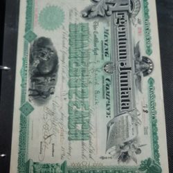 Extremely Rare Vintage Mining Stock Certificate