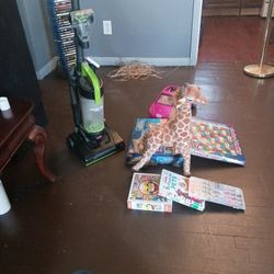 Miscellaneous Things I Have Lot More 