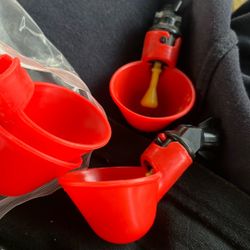 Rooster/chicken Water Dispenser 