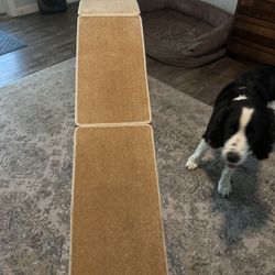Barely Used Dog Ramp