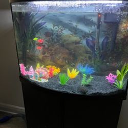 Fish Tank W/ Storage 