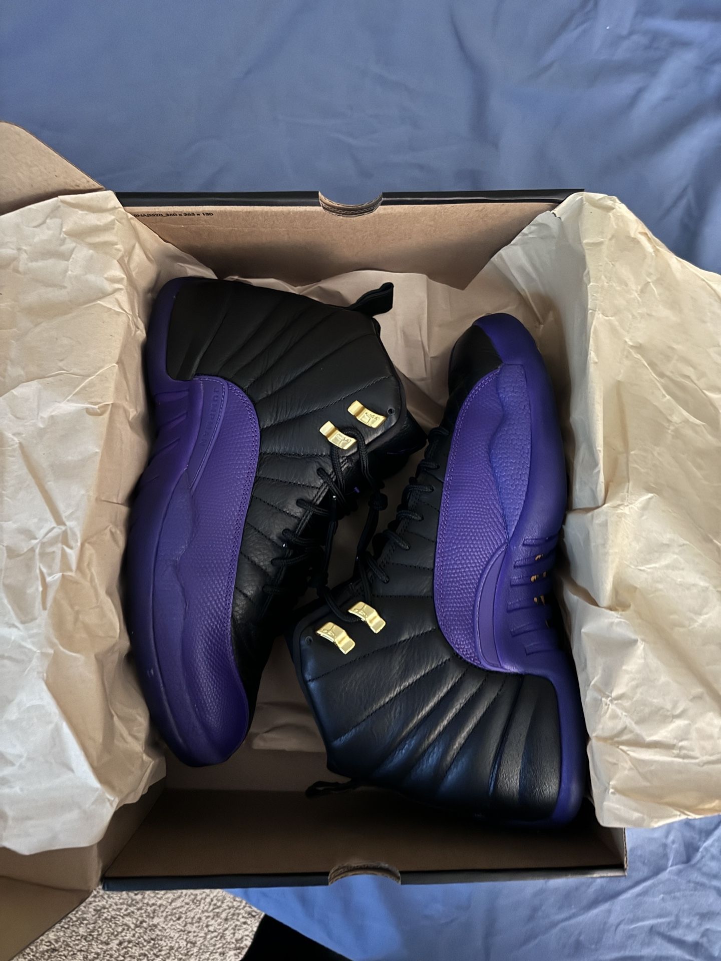 “Field Purple” Jordan 12s