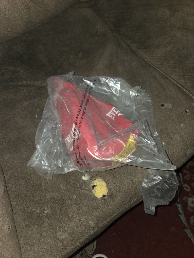 Speed Bag Everlast