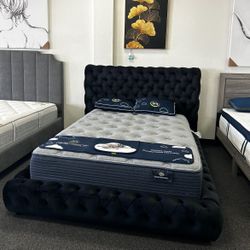 Queen Bed Frame 