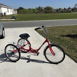 Adult Trikes