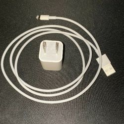 Iphone Apple Original Genuine Cube + Lightning Cable Apple