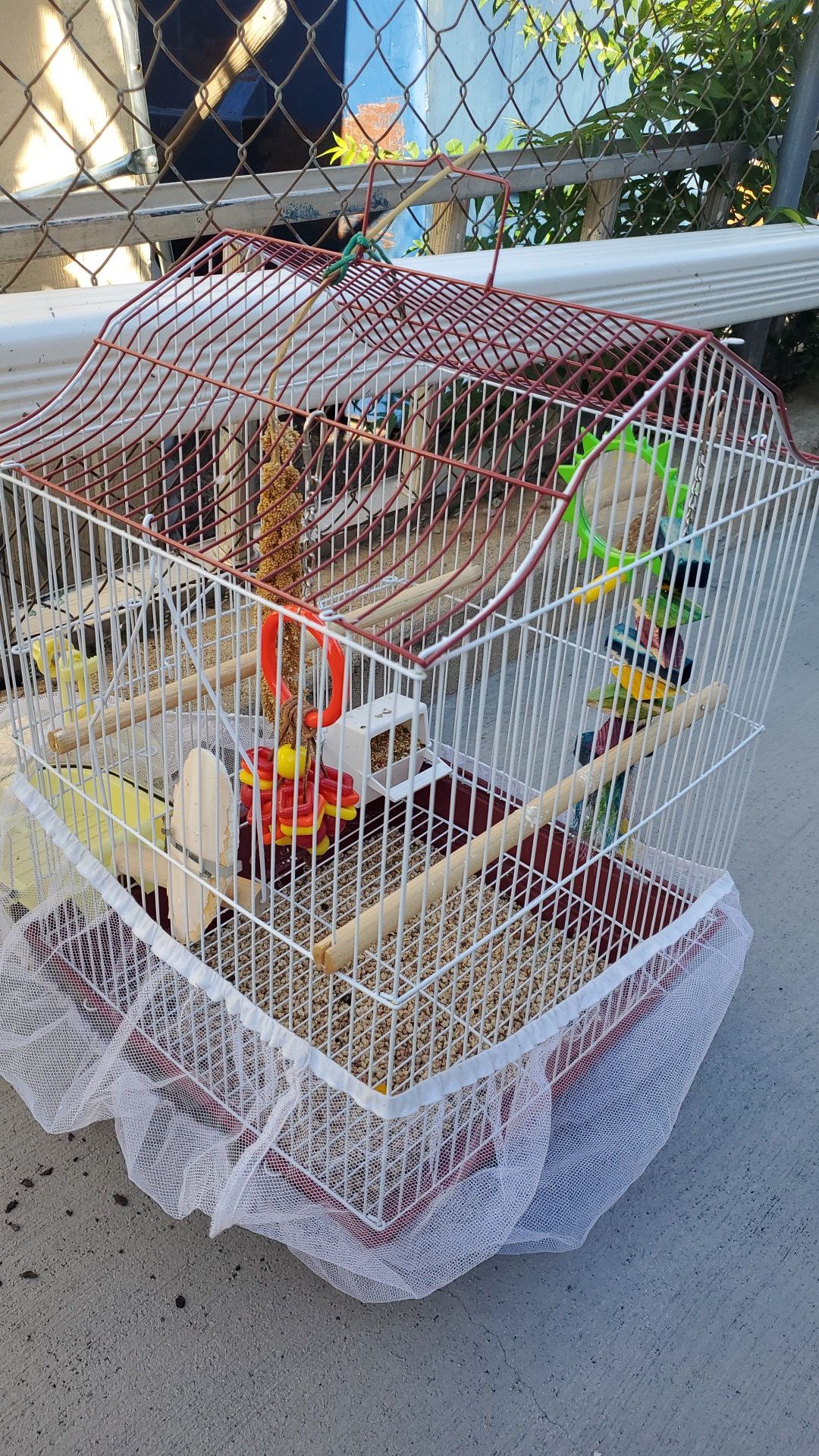 Bird cage and bird bath