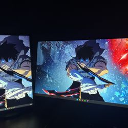 DOUBLE MONITOR MSI G271 & EA223WM