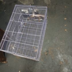 Bird cage.
 15