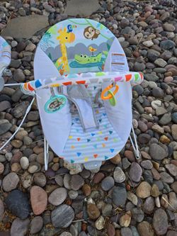 Baby Bouncer