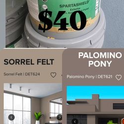 Exterior Flat Paint 