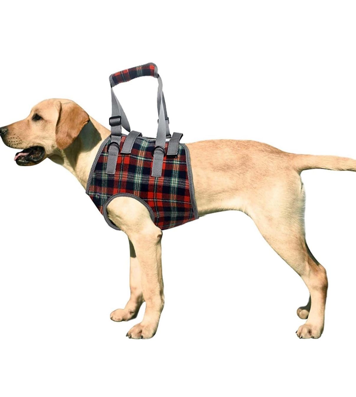 ROZKITCH Dog Lift Harness