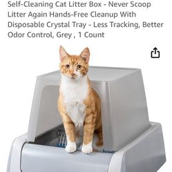 Automatic Cat Box 
