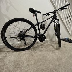 Women’s Giant 2020 Liv Rove 2 DD (Disc) Hybrid Small