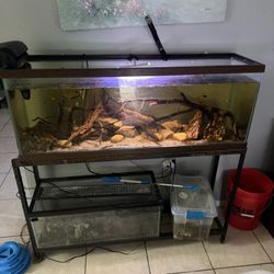 55 Gallon Fish Tank With Stand And Supplies 