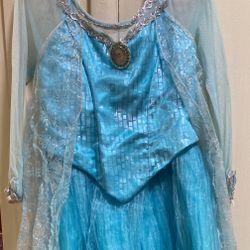 Disney Park Elsa Costume 