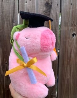 Brand New Capybara Graduation Plush 8”👩‍🎓 👨‍🎓