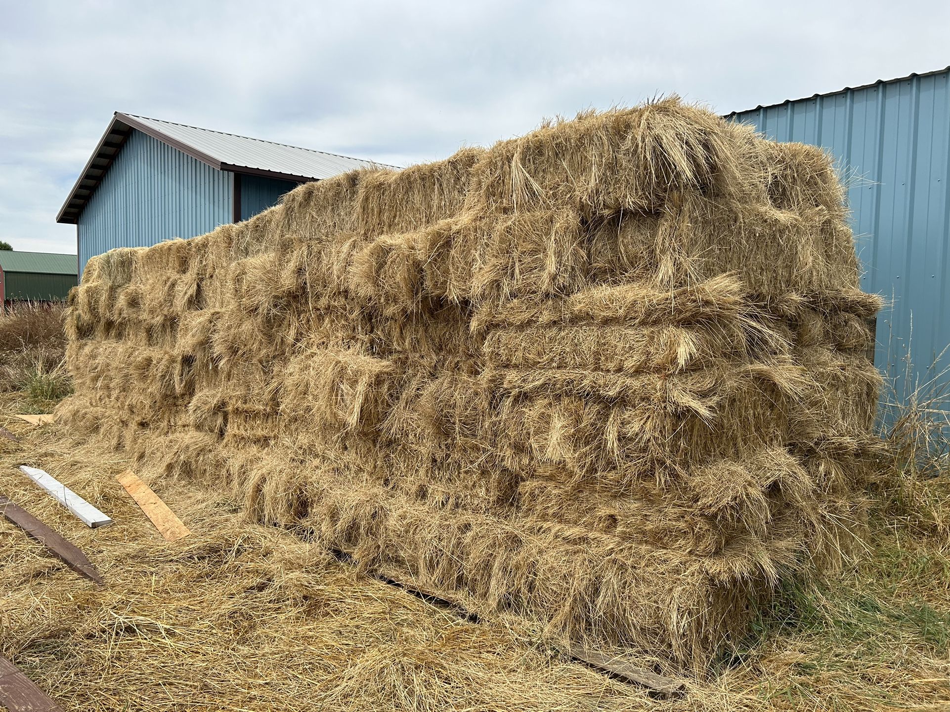 Grass Hay Bales