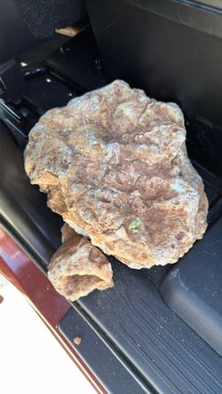 Large Natural Rock Specimen
