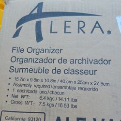 File Organizer