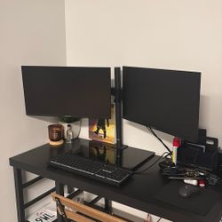 Packard Bell Duel Monitor