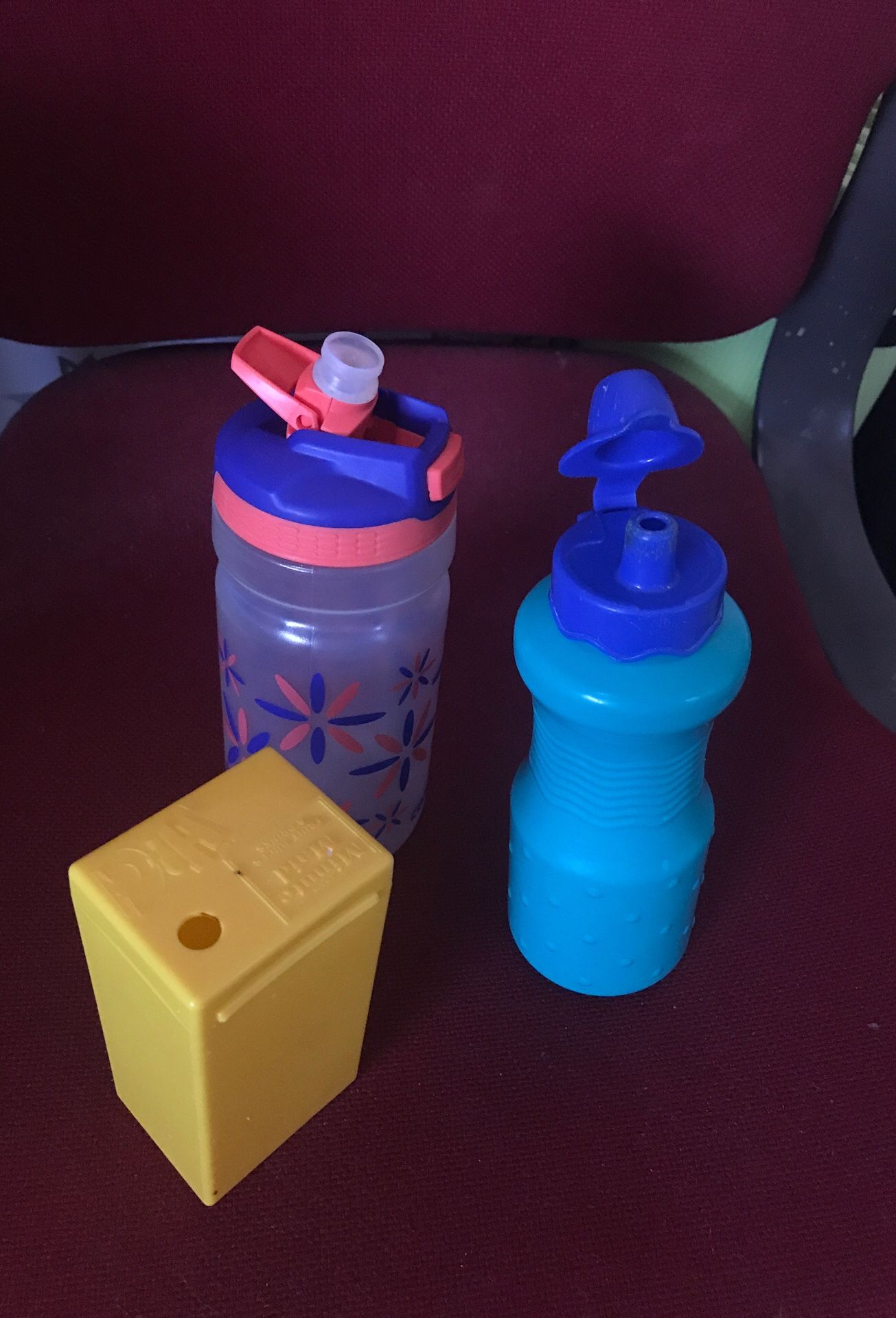 Water bottle and juice holder