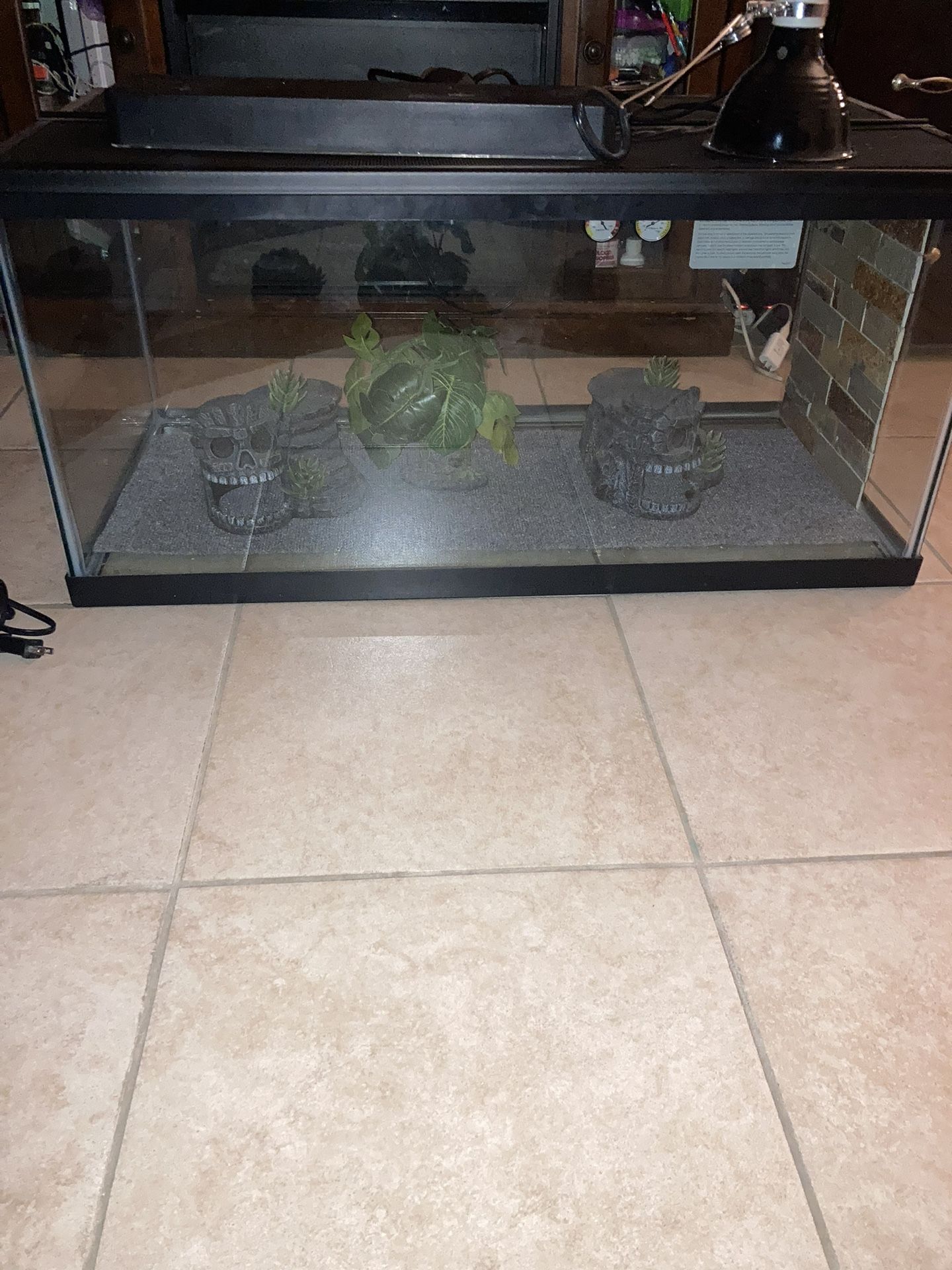 55 Gallon Tank For Reptile