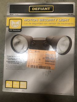 Motion security light