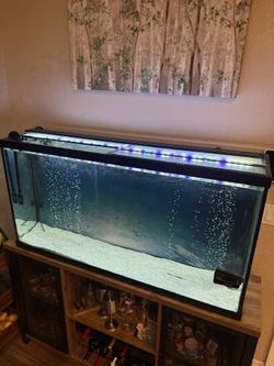 Aquarium FreshWater 60 Gallons