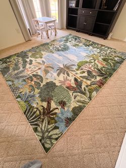 Rug 8x10