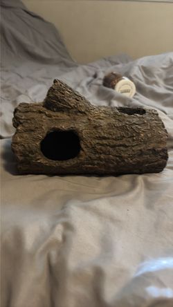Reptile hide