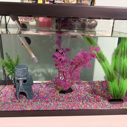 20 Gallon Fish tank 