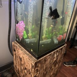 40 Gallon Tall Aquarium for Sale in Akron, OH - OfferUp