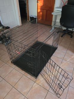 Kennel