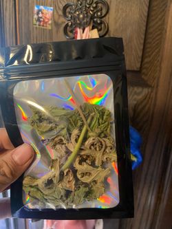 4$ Dried Citrosa Geranium Leaves-make your own spray