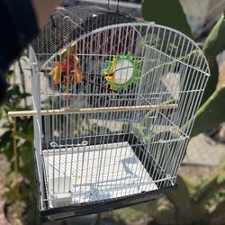 All Living Things® Bird Starter Home Kit