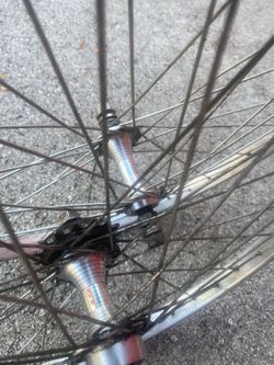 GT : Race Lace : Rims       $135