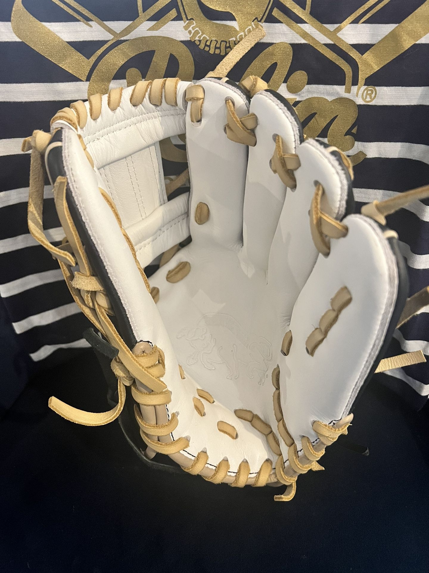 Rolin Barraza Custom Baseball Glove