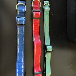 Dog Collars