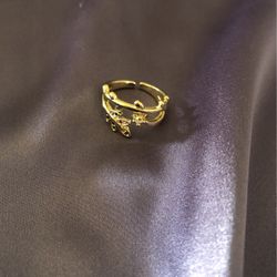 Beautiful Ring 