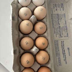 Fresh Farm Eggs 