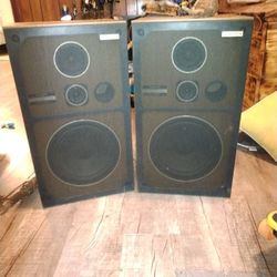 Pioneer CSG-203 Vintage Beautiful Home Speakers.