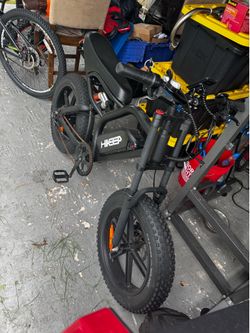 E bike