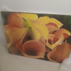 40 W, 30 H Canvas Winter Snow Flower