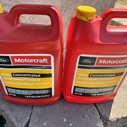 Ford Coolant Antifreeze OEM Fluid 
